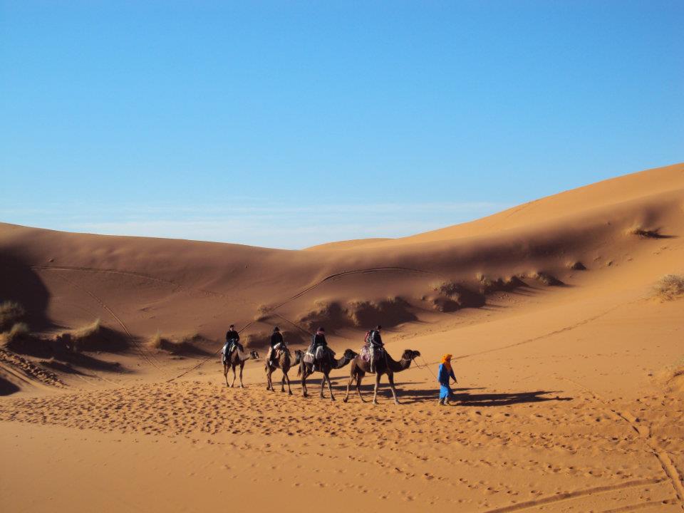 camel trekking back from the camp to hotel